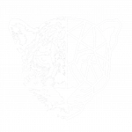 white jaguar transparent bg (1)