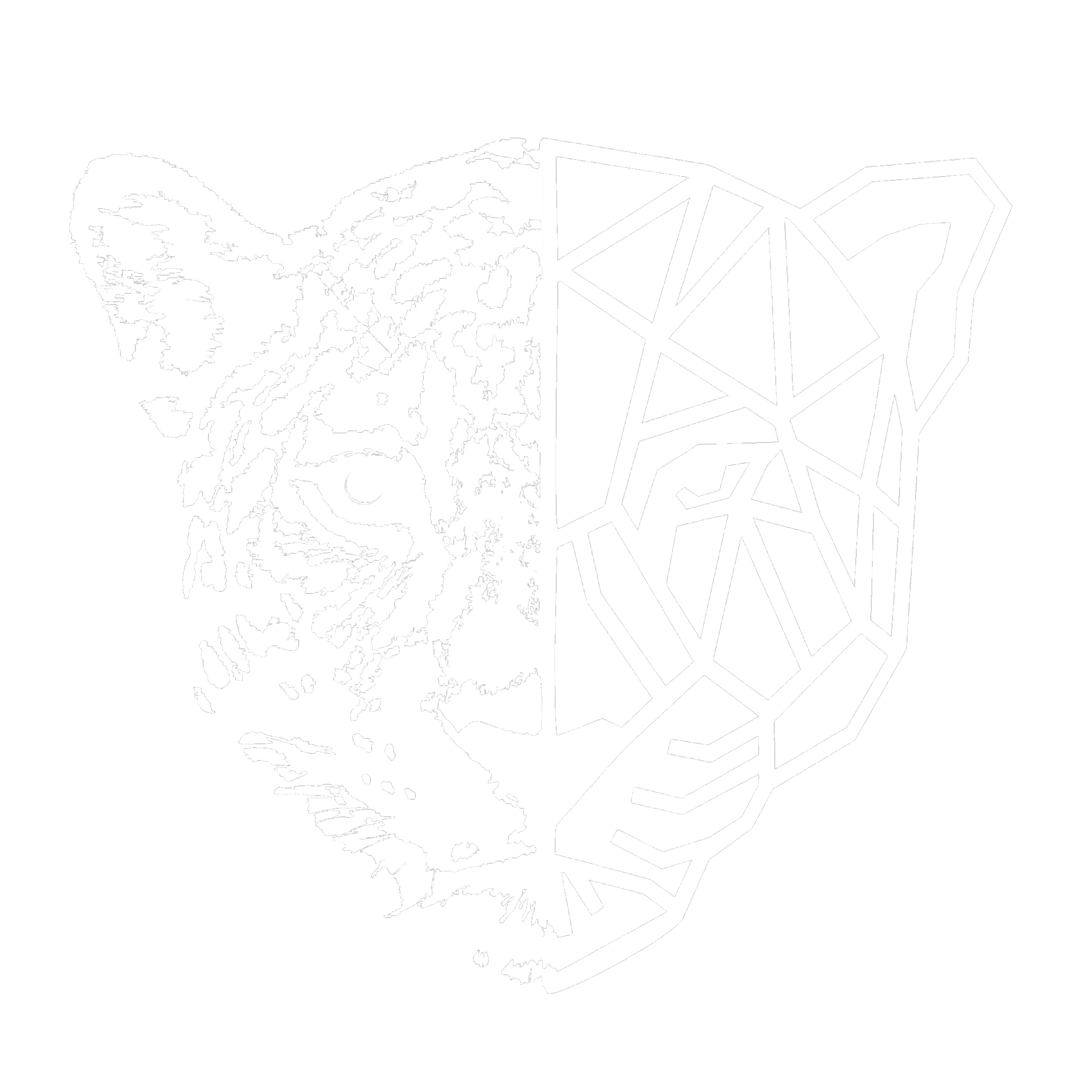 white jaguar transparent bg (1)